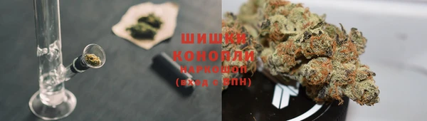 бошки Алексин