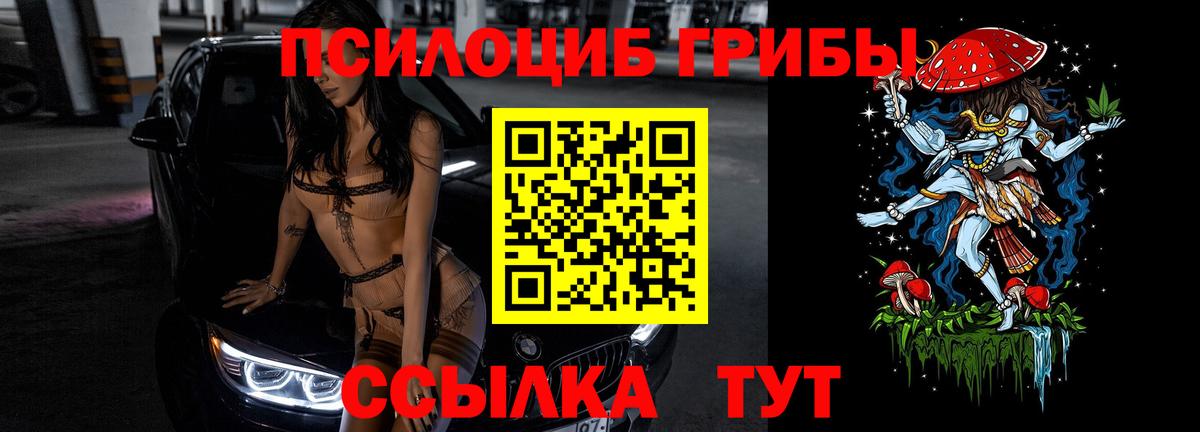 Псилоцибиновые грибы Magic Shrooms  Вход с VPN  Дубна  Псилоцибиновые грибы Psilocybe 